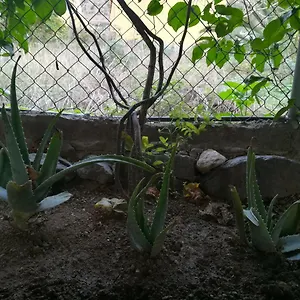 https://casa-la-terraza.in-canary-islands.com